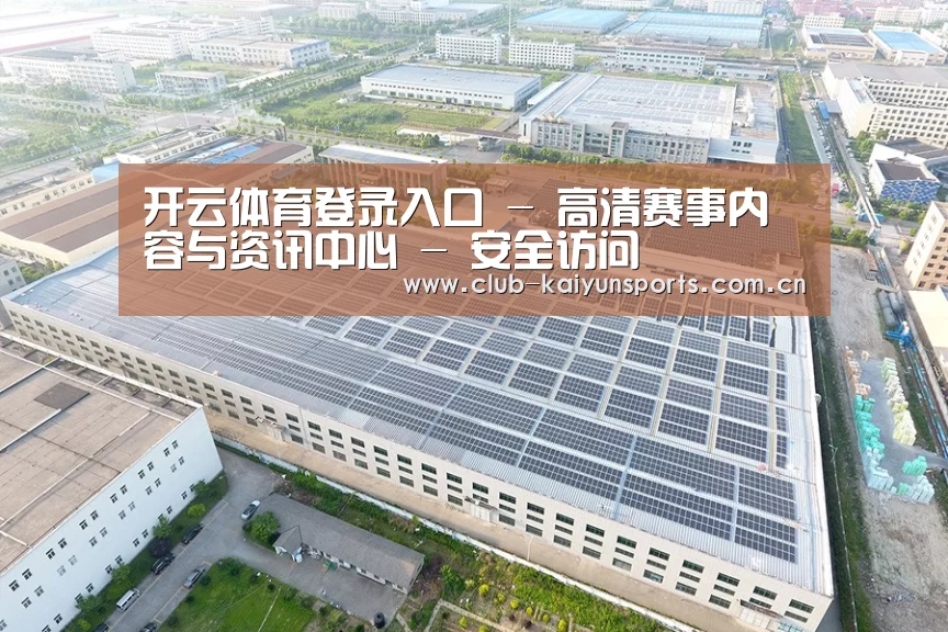 案例展示一