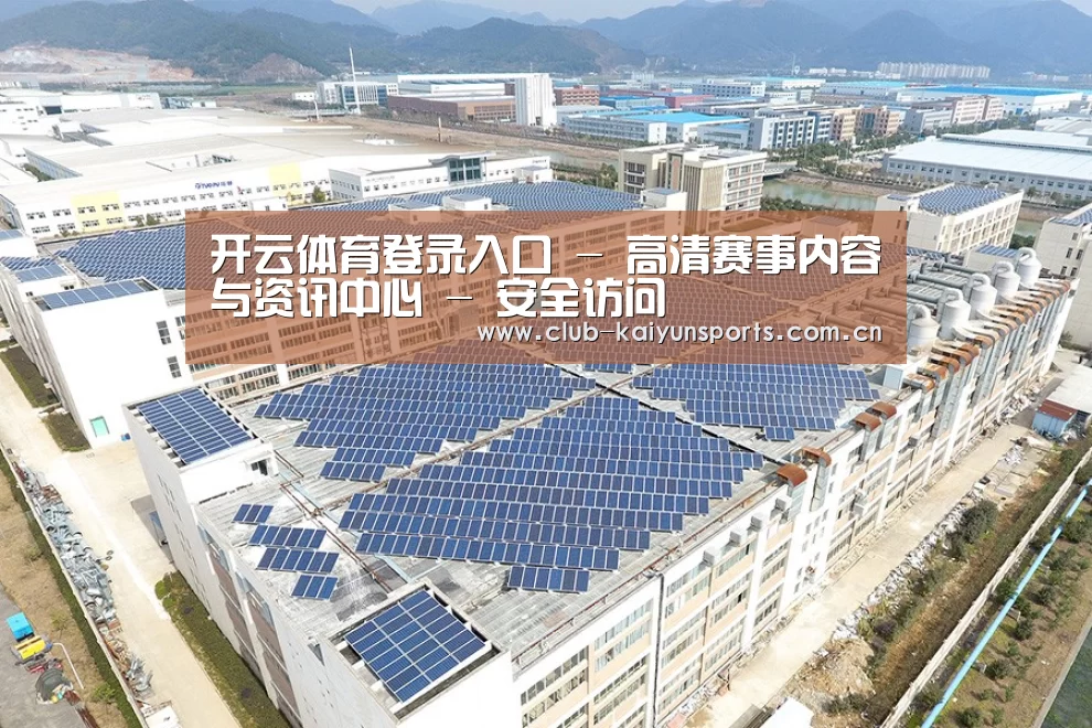 案例展示一