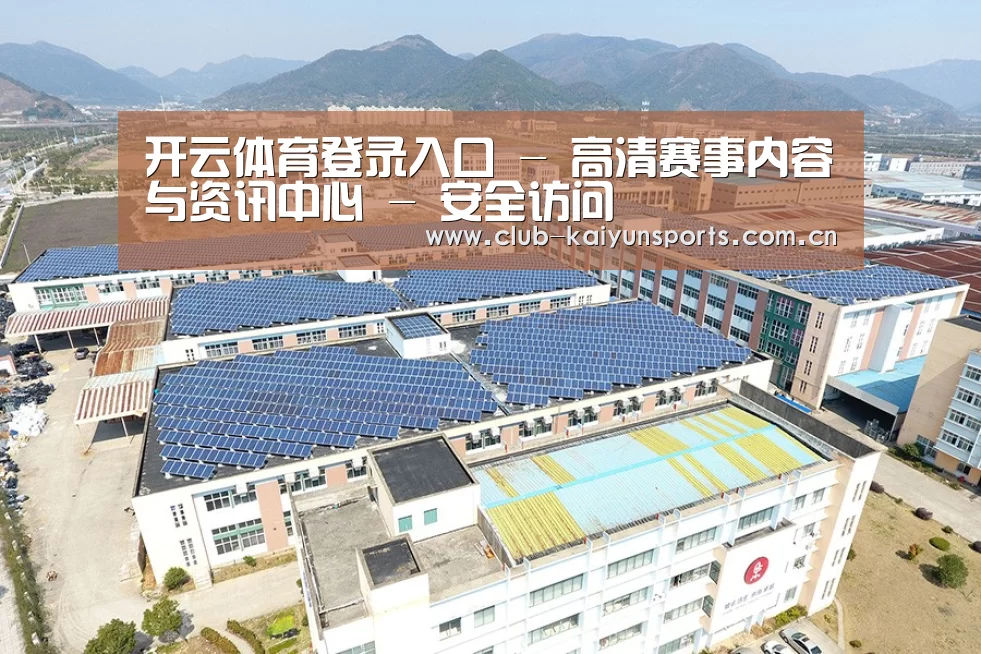 案例展示四