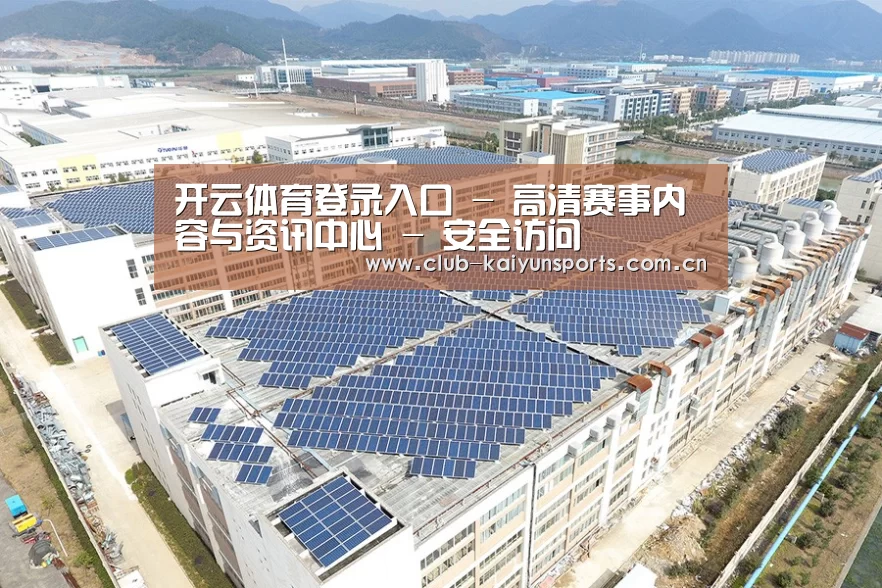 案例展示四