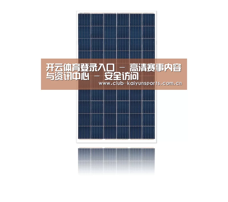 产品名称一
