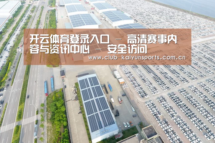 案例展示一