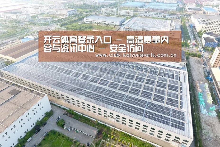 案例展示三