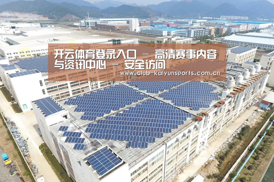 案例展示四