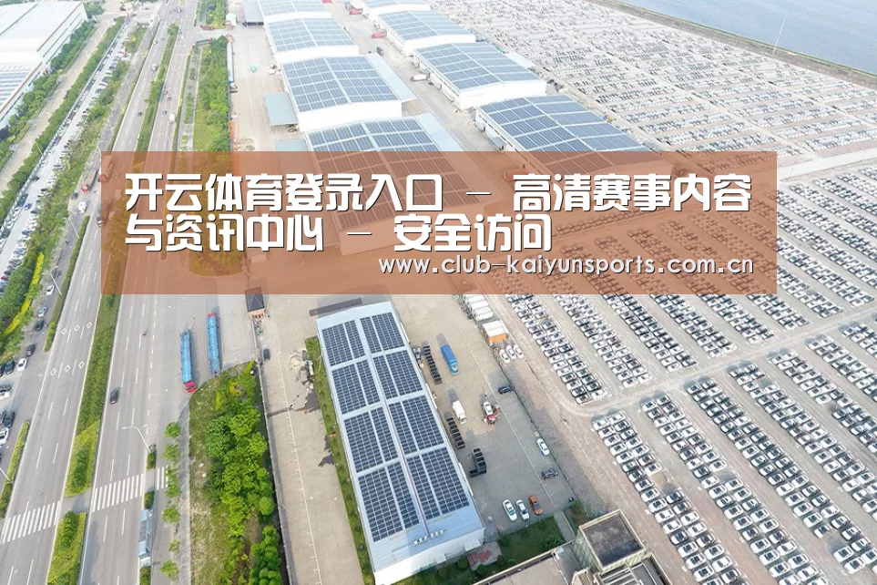 案例展示一