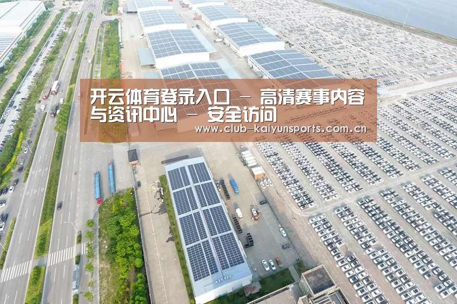 案例展示三
