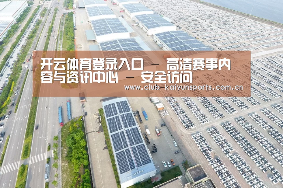 案例展示二