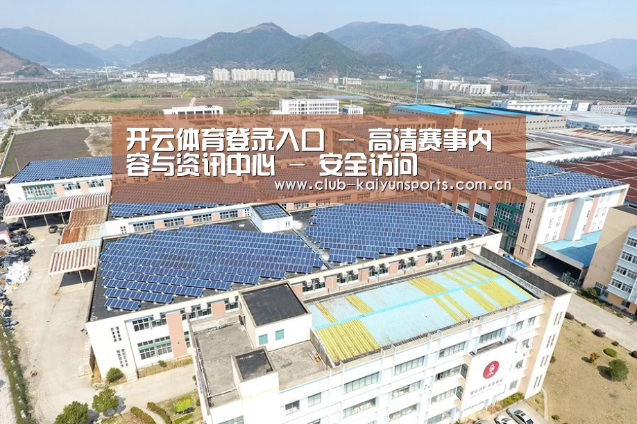 案例展示三