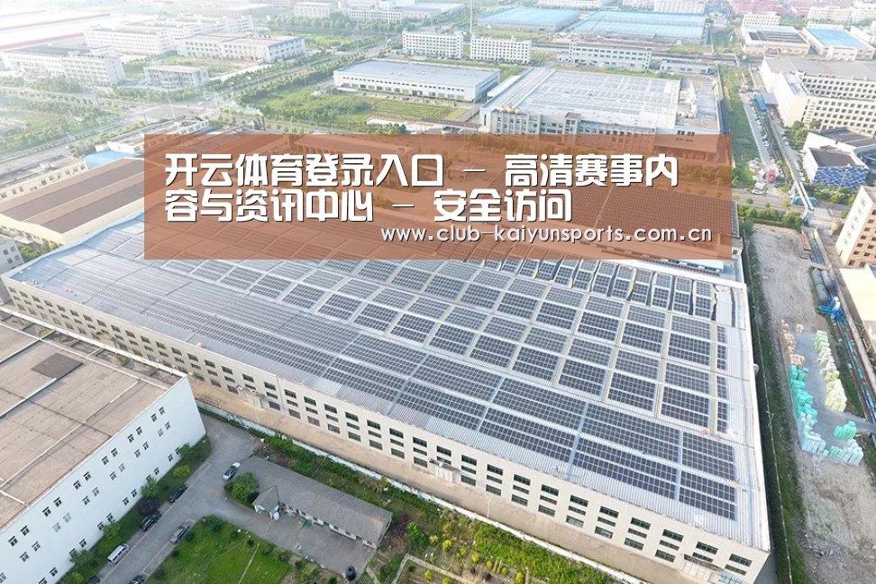 案例展示四