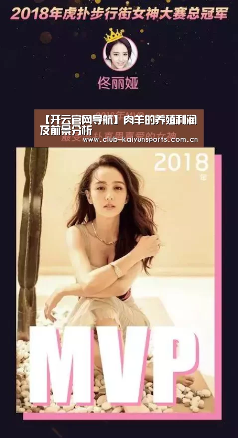 开云赛事