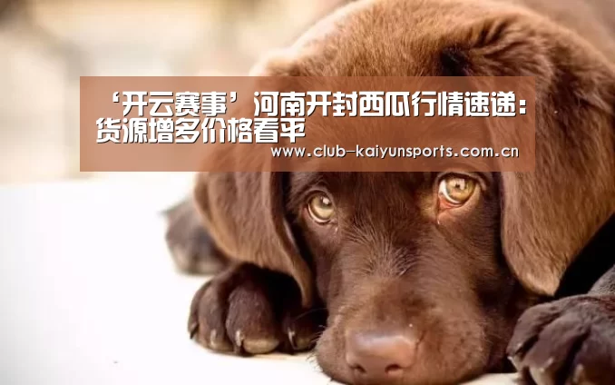 开云体育直播
