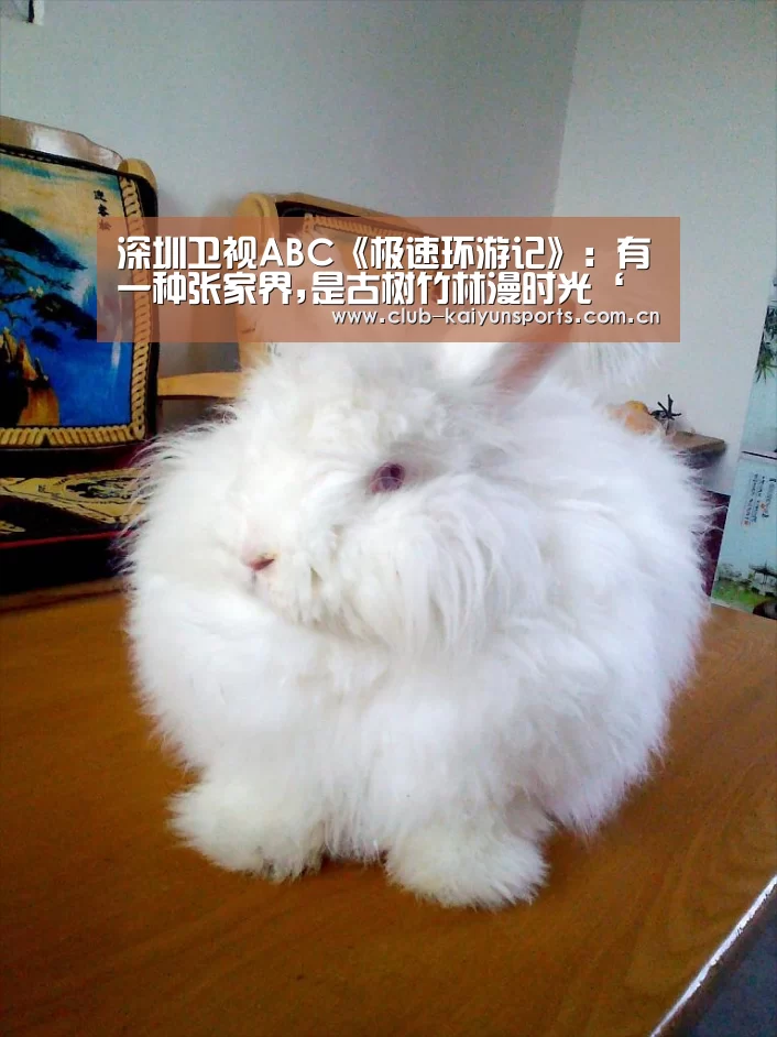 开云赛事
