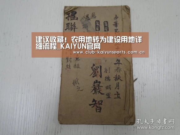 开云体育直播