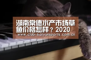 湖南常德水产市场草鱼价格怎样?2020年草鱼市场行情预测_KAIYUN官网(图1) KAIYUN官网