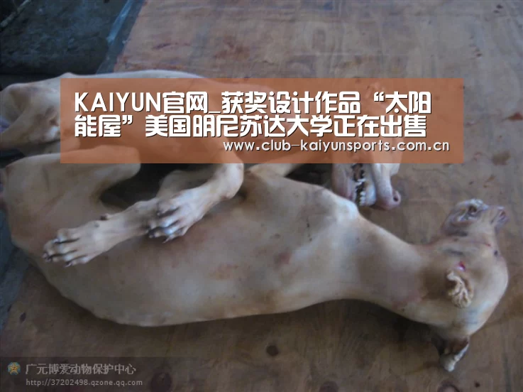 KAIYUN官网_获奖设计作品“太阳能屋”美国明尼苏达大学正在出售(图3) 开云官网导航