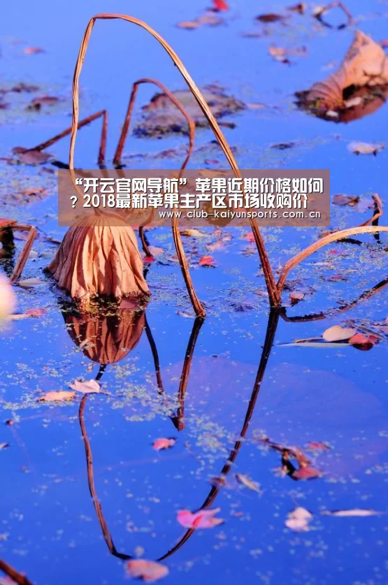 “开云官网导航”苹果近期价格如何？201