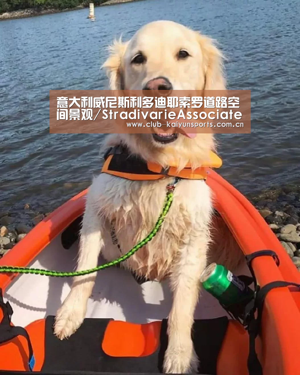 意大利威尼斯利多迪耶索罗道路空间景观/StradivarieAssociatedArchit“开云官网导航”(图2) 开云体育直播
