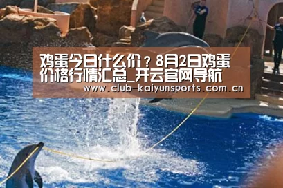 鸡蛋今日什么价？8月2日鸡蛋价格行情汇总